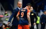 L'entraîneur de Montpellier Michel Der Zakarian et l'attaquant Andy Delort, lors d'un match contre Saint-Etienne, le 9 février 2020 à La Mosson