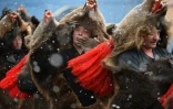 Des gens vêtus de peaux d'ours dans les rues de Comanesti, en Roumanie, le 30 décembre 2015