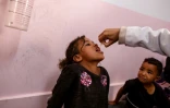 Une infirmière administre des gouttes de vaccin contre la polio à une enfant palestinienne à l'hôpital Nasser de Khan Younès, dans le sud de la bande de Gaza, le 31 août 2024