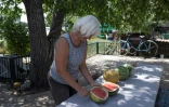 Anastasia Roudenko dans son jardin, le 13 août 2022 à Vychtchetarassivka, près de de la centrale nucléaire de Zaporijjia (Ukraine)