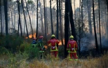 Pompiers déployés à Vidauban, dans le Var, le 18 août 2021