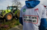 Le slogan "On marche sur la tête" imprimé sur le t-shirt d'un agriculteur lors d'une manifestation au Mans, le 23 février 2024 dans la Sarthe