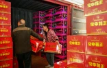 Des employés chargent des cartons de feux d'artifice dans un camion avant les célébrations du Nouvel an lunaire du Dragon, le 31 janvier 2024 à Liuyang, dans la province du Hunan, dans le centre de la Chine