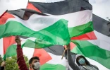 Des manifestants pro-palestiniens à Nantes, le 15 mai 2021