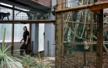Une employée prépare la réouverture au public du parc zoologique de Saint-Martin-la-Plaine, le 17 mai 2021