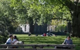 Des personnes prennent le soleil dans un parc à Londres, le 25 avril 2020