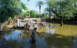Une zone inondée près de Sukkur, dans la province du Sind, le 28 août 2022 au Pakistan