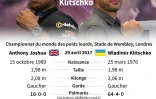 Boxe: Joshua vs. Klitschko