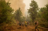 Volontaires et pompiers s'activent pour tenter d'éteindre le feu près du village d'Avgaria sur l'île d'Eubée, le 10 août 2021