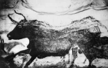Photo non datée d'un des motifs vieux de 13.000 ans, peint sur une paroi de la grotte de Lascaux, dans la commune de Montignac