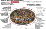 La crise politique en Catalogne