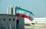 La centrale nucléaire de Bouchehr en novembre 2019 en Iran