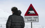 Un panneau avertissant de la présence d'ours polaires au bord d'une route près de Longyearbyen, sur l'archipel de Svalbard, le 2 mai 2022 