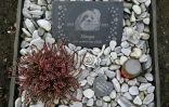 La tombe d'un chien au cimetière pour animaux Tierhimmel à Teltow, le 31 janvier 2019 en Allemagne