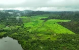 Vue aérienne d'une zone dégradée de la forêt amazonienne, près de la terre indigène Koatinemo, dans l'Etat de Para, au Brésil, le 12 juin 2025