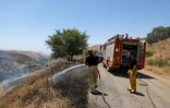 Des pompiers israéliens éteignent un feu de broussailles causé par des tirs de roquettes depuis le Liban, le 11 juin 2024 près de Had Nes, dans le nord d'Israël