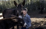 Jesse Christelis avec ses ânes à Magalisburg, le 13 juin 2022