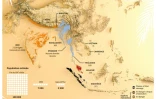 Les dernières populations de tigres
