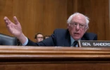 Bernie Sanders lors d'une audition de confirmation au Congrès à Washington le 16 janvier 2019