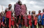 De jeunes Massaï font leur traditionnel saut, lors de la cérémonie d'Eunoto, dans un village reculé près de Kilgoris, au sud-ouest du Kenya, le 18 août 2023