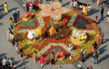 Des visiteurs posent pour la photo devant un terre-plein floral dédié à l'année du "cochon de terre" qu'ouvre le Nouvel An chinois, le 3 février 2019 à Hô-Chi-Minh-Ville, capitale du Vietnam