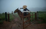 Le cowboy Dionatao Euzebio débute sa journée de surveillance du bétail  près de Tailandia, au Brésil, le 18 septembre 2021