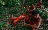 Des membres de la tribu amazonienne des Waiapi, dans une zone protégée appelée Renca dans l'Etat d'Amapa au Brésil, le 14 octobre 2017