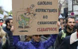 Une femme brandit une pancarte pendant la marche pour le climat à Paris, le 8 décembre 2018