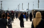 Des Syriens marchent dans le camp de déplacés d'Al-Hol, dans la province de Hassaké, dans le nord de la Syrie, le 6 février 2019