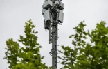 Plusieurs maires écologistes ou de gauche de grandes villes françaises avaient décidé de lancer fin 2020 un "débat public" sur les éventuelles conséquences du déploiement de la 5G sur l'environnement et la santé