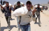 Des Palestiniens transportent des sacs de farine après que des camions d'aide sont entrés dans la bande de Gaza assiégée par Israël depuis le poste frontière nord de Zikim, le 27 juillet 2025