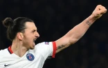 L'attaquant suédois du Paris Saint-Germain, Zlatan Ibahimovic, fête un but marqué le 9 mars 2016 au stade de Stamforf Bridge à Londres