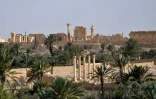 Vue de la ville syrienne de Palmyre, le 18 mai 2015