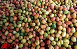 Pour les fruits et les légumes les Réunionnais sont  fidèles aux marchés forains qui se tiennent dans presque toutes les communes de l'île