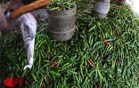 Pour les fruits et les légumes les Réunionnais sont  fidèles aux marchés forains qui se tiennent dans presque toutes les communes de l'île