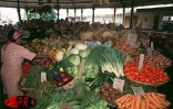 Pour les fruits et les légumes les Réunionnais sont  fidèles aux marchés forains qui se tiennent dans presque toutes les communes de l'île