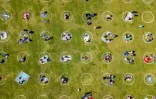 Vue aérienne du parc Dolores incitant à la distanciation physique, à San Francisco (Californie) le 22 mai 2020