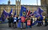 Des manifestants pro-UE réclament un second référendum pour empêcher le Brexit, le 14 novembre 2018 devant le Parlement britannique à Londres