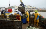Des pêcheurs se préparent à une sortie en mer à Bridlington (nord-est de l'Angleterre), le 11 décembre 2020