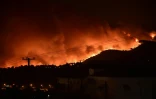 Les flammes embrasent les environs d'Athènes, à Kapandriti, en Grèce, le 5 août 2021
