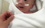 Photo non datée du bébé qui pesait 268 grammes à sa naissances, divulguée par l'Hôpital universitaire Keio de Tokyo le 27 février 2019