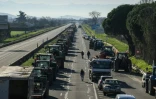 Des agriculteurs bloquent l'autoroute A64 - Toulouse-Bayonne - à hauteur de Carbonne en Haute-Garonne, le 20 janvier 2024