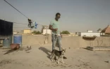 Amadou Daff et son chien husky sibérien Iris, le 8 octobre 202 à Nouakchott, en Mauritanie
