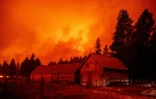 Les flammes du Caldor Fire ravagent plusieurs maisons en Californie, le 30 août 2021
