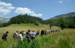 Des bénévoles participent à l'opération de recherche d'Emile, deux ans et demi, porté disparu depuis deux jours, le 10 juillet 2023 au Vernet, dans les Alpes-de-Haute-Provence