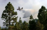 Un avion de lutte contre les incendies largue sa cargaison d'eau à Las Lagunetas, sur l'île de Tenerife, dans l'archipel des Canaries, le 22 août 2023