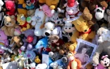 Une photo au milieu de peluches dans le mémorial dédié aux victimes de l'attentat du 14 juillet, le 19 juillet 2016 à Nice