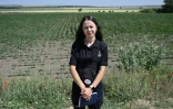 Iryna Nomerovska, cheffe d'une équipe chargée d'examiner les terrains pour l'organisation Halo Trust, dans un champ près du village de Vassylivka, dans la région de Mykolaïv, le 4 juin 2024 en Ukraine
