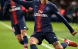 L'attaquant argentin du Paris-SG, Angel Di Maria, lors du match de Ligue 1 face au Stade Rennais, au Parc des Princes, le 27 janvier 2019 