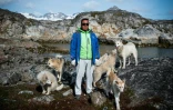 Kunuk Abelsen, un chasseur de 27 ans, pose avec ses chiens du Groenland, le 19 août 2019 à Kulusuk (Groenland)